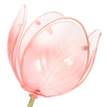 Artikel Trädgårdsstångsblomma dekorativ tulpan för rabatter och kanter 94 cm