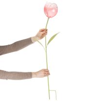 Artikel Trädgårdsstångsblomma dekorativ tulpan för rabatter och kanter 94 cm