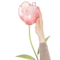 Artikel Trädgårdsstångsblomma dekorativ tulpan för rabatter och kanter 94 cm