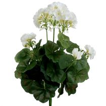 Artikel Pelargonbuske vit 38cm