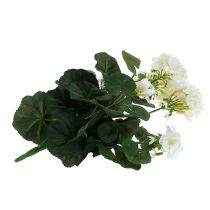 Artikel Pelargonbuske vit 38cm