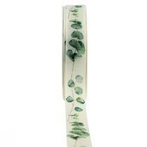Artikel Presentband eukalyptus dekorationsband grönt 25mm 20m