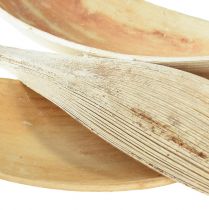 Artikel Kokosskal kokosblad blekta 22-42cm 25st