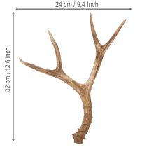 Artikel Konstgjorda horn, naturtrogna, rustika, 32 cm