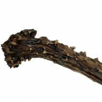 Artikel Deco horn lanthus dekoration bordsdekoration 23cm 2st