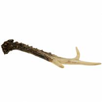 Artikel Deco horn lanthus dekoration bordsdekoration 23cm 2st