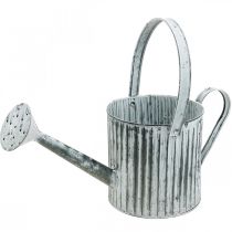 Metallburk för plantering, vattenkanna för dekoration, planteringsburk Ø17cm