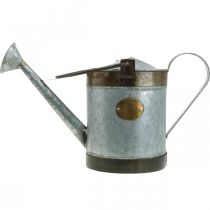 Artikel Dekorativ vattenkanna i metall i retrodesign, hängande vintageplanter 58x23x32cm, nostalgisk växthink