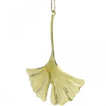 Artikel Ginkgo lövhänge, adventsdekoration, metalldekoration för hösten Golden L12cm 12 stycken