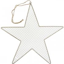 Artikel Metal Star Mesh Deco Star Metal Deco Guld Ø57cm