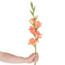 Artikel Konstgjorda gladioler med många blommor till en bukett, 88 cm
