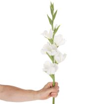 Artikel Konstgjord gladiolus, lång stjälk, för vaser, 88 cm