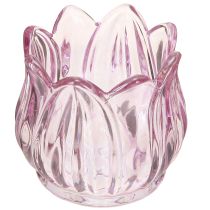 Artikel Glas värmeljushållare värmeljus glas tulpan lila Ø7cm H7cm 2st