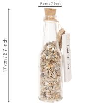 Artikel Glasflaskdekoration med snäckor och hänge, maritim borddekoration, 17 cm, 2 stycken