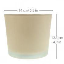 Artikel Blomkruka i glas beige kruka Glaskruka Ø14,5cm H12,5cm