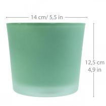 Blomkruka i glas grön plantering glasbalja Ø14,5cm H12,5cm