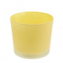 Blomkruka i glas gul växtkruka glasbalja Ø14,5cm H12,5cm