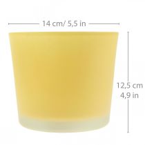 Artikel Blomkruka i glas gul växtkruka glasbalja Ø14,5cm H12,5cm