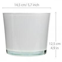 Artikel Blomkruka i glas vit plantering glasbalja Ø14,5cm H12,5cm