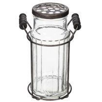 Artikel Glasflaska i metallkorg, perfekt för dekorativa accenter i vardagsrummet, 20 cm