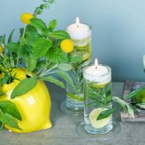 Artikel Glasvas med fot, klar, Ø6cm, H25cm