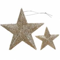 Artikel Glitterstjärnschampagne 9,5/5cm 18 st
