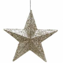 Artikel Glitterstjärnschampagne 9,5/5cm 18 st