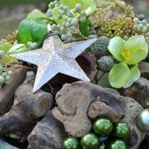 Artikel Glitterstjärnschampagne 9,5/5cm 18 st