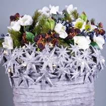 Artikel Glitterstjärna silver Ø10cm 12 st