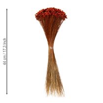 Artikel Torkad blombukett, ett charmigt tillägg till vaser eller arrangemang, 44 cm