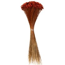 Artikel Torkad blombukett, ett charmigt tillägg till vaser eller arrangemang, 44 cm