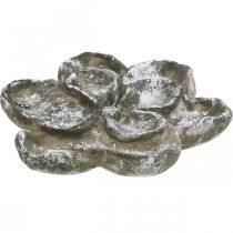 Gravdekoration, betongdekoration, trädgårdsdekoration, betongrosa Ø21cm