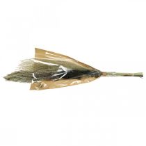 Artikel Torkat gräs i ett gäng Torr floristik Torr bukett H70cm