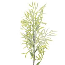 Artikel Dekorativ sparrisgren, naturligt tillägg till blombuketter, 34 cm, 7 stycken