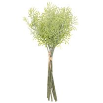 Artikel Dekorativ sparrisgren, naturligt tillägg till blombuketter, 34 cm, 7 stycken