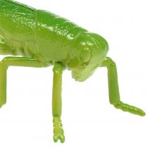 Gräshoppa grön 11cm 1p