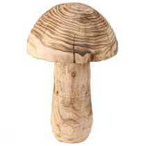 Artikel Stor träsvamp dekorativ svampträ Paulownia Ø21cm H33cm