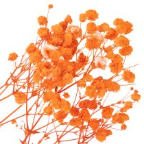 Artikel Torkad blombukett med babys andetag Gypsophila 75 cm 100 g