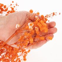 Artikel Torkad blombukett med babys andetag Gypsophila 75 cm 100 g