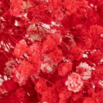 Artikel Torkad baby's breath (Gypsophila) knippe 75 cm 100 g