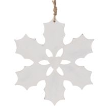Artikel Järneksprydnad, juldekoration för upphängning, 26 cm