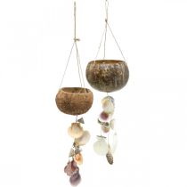 Kokosskål med skal, naturlig växtskål, kokos som hängkorg Ø13,5/11,5 cm, set om 2
