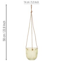 Artikel Hängande glaskruka, dekorativ glaskruka, retrostil, grön/brun, 14,5 cm, 2 stycken