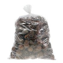 Artikel Halepensis kottar naturliga 5kg