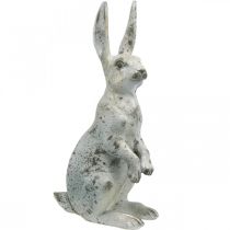 Dekorativ kanin till påsk, vårdekoration i betonglook, trädgårdsfigur med guldaccenter, shabby chic H42cm