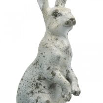 Dekorativ kanin till påsk, vårdekoration i betonglook, trädgårdsfigur med guldaccenter, shabby chic H42cm