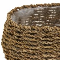 Artikel Växtkorg med handtag korg blomsterkorg L23/35cm set om 2