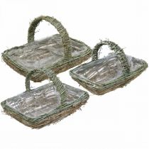 Korg för plantering, blomkorg, vinstockar Shabby-Chic L42cm / 34cm / 28cm uppsättning av 3