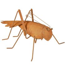 Artikel Gräshoppa Trädgårdsdekoration Rost Metalldekoration för stående 26cm