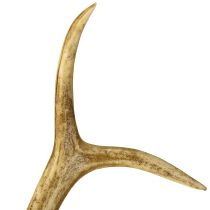Artikel Hjorthornsdekoration konstgjorda horn bordsdekoration 28×14cm